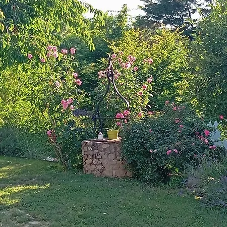 Cosy Avec Terrasse Privée